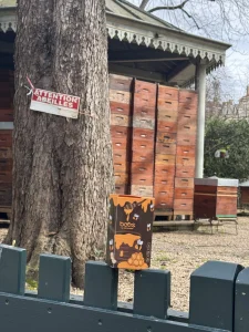 A Bees box in front of a beware of bees sign