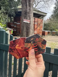 Hand holding a red bee and two honey hives